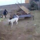 Do not interference in a dogfight.