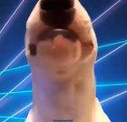 Walter be speaking truth