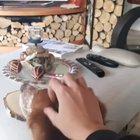 Is everything alright? Why did you stop?