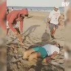 I need some vacations to do this