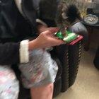 16 Year old cat taps. She only likes my mom and is her shadow.