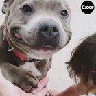 Giving you a dose of genuine happiness today