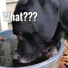 It's cold in Texas. Texans aren't used to it.