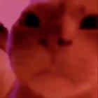 Me when I watching jojo part 4 at 3:30 AM