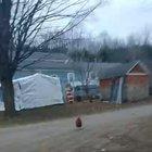 Aggressive Rooster Named Kyle Attacks Its Owner (animal freakout)