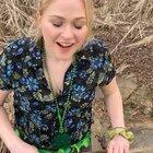 Natural Corn Dog eh?