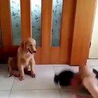 Вот пример чего делает из тебя любая женщина, а все остальное ты придумал сам.