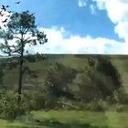 Guy takes slow-mo vid of passing birds from a train