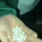 Frame perfect collision