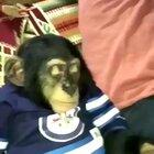 Meu pana Marcelino está fumando maconha, Eu não vou mentir para você, ele parece muito relaxado, Espero que ele esteja bem