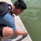 Releasing a baby turtle back in the ocean