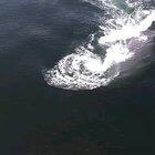 🔥 Blue Whale gulping up a meal and 10,000 Gallons of water! 💙🐳🔥