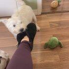 I think I need to speak to HR about my coworkers behaviour...