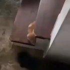 Don't you dare touch me!