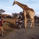 PowderRangers part one