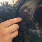 When you try to play with your owner but you realise your owner plays with you