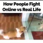 If this door wouldn’t be between us I would...Oo