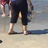 How A Stylish Corgi Removes Her 'Doggles' !