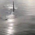 Going fishing and a killer whale decides to take your fish.