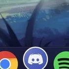 He's a really bouncy boy, even after forced to stop