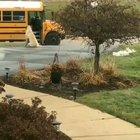 Every morning this dog waits for his girls to get on bus.