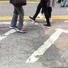 Dude in shades with a cat in shades