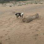 He’s upset because he can’t pick up the ‘big stick’