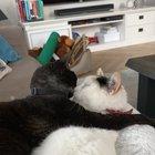 I luv u I luv u.....I luv u 2....