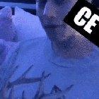 The Dog goes for it...