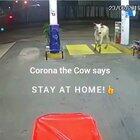 It would behoove you to stay home