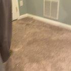 HOW MY DAD GOT RID OF THE BUG