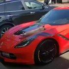 The perfect snooze spot