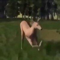 Reddit users after getting a child get put under government protection for not updooting a wholesome 100 big Chungus reeves moment