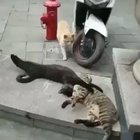 When she comes home early and you get busted