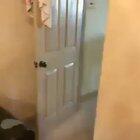 You don't know how hard I wheezed at this