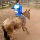 Unexpected moves are hard to counter