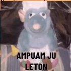 Vamos fazer um ratatuile