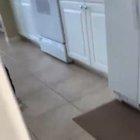 He turned around so they could both see