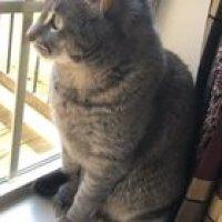 I’ve never felt so much denial