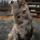 Wow you can really dance