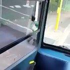 Almost smashed by bus. There are way too many of these occasions