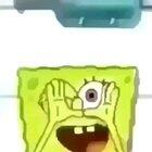 Can we call this the human seesaw