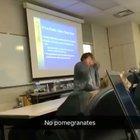 This teacher could not express enough her hatred for pomegranates.