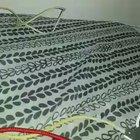 Me freaking out that there's a horsefly by my bed.