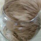 EvIL wItch LIqUEfIEs pOOr cAt And trAps It In CrystAL bALL!