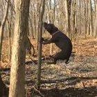 doggo need that certain stick