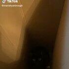 The new timeout box did not work out