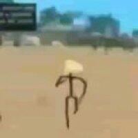 troll™ مضحك الجنس القزم هاها واو nigge ™ القزم هاها واو ™r