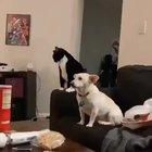 Trying to watch a movie with the wife