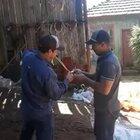 Getting rid of a wasp nest